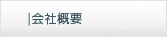ЊTv